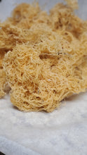 Load image into Gallery viewer, Gold Wild Crafted Sea Moss