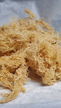 Load image into Gallery viewer, Gold Wild Crafted Sea Moss