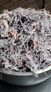 Wild Crafted Purple Sea Moss From St. Lucia