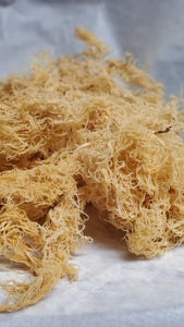 Gold Wild Crafted Sea Moss