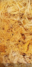 Load image into Gallery viewer, Gold Wild Crafted Sea Moss
